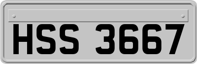 HSS3667