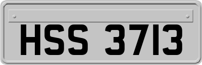 HSS3713