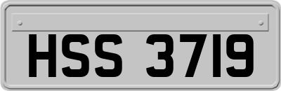 HSS3719