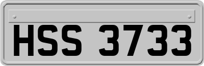 HSS3733