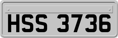 HSS3736