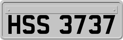 HSS3737