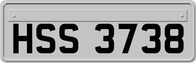 HSS3738