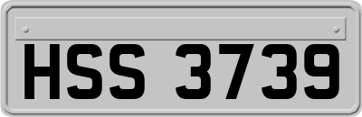 HSS3739