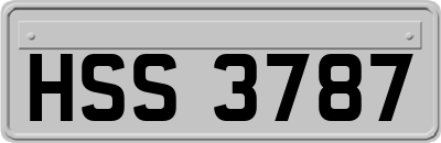 HSS3787