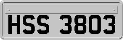 HSS3803