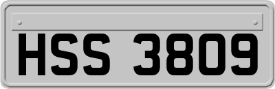HSS3809