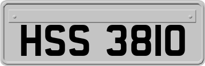 HSS3810