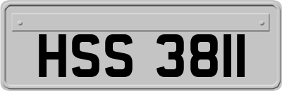HSS3811