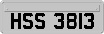 HSS3813