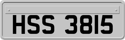 HSS3815