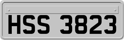HSS3823
