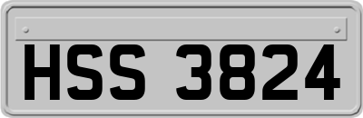 HSS3824
