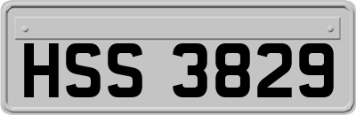 HSS3829