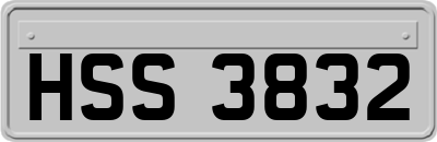 HSS3832