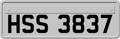 HSS3837