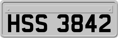 HSS3842