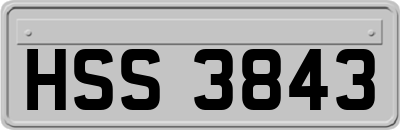 HSS3843