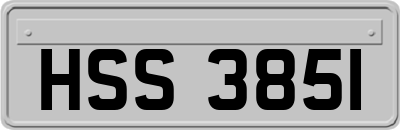 HSS3851
