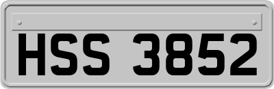 HSS3852