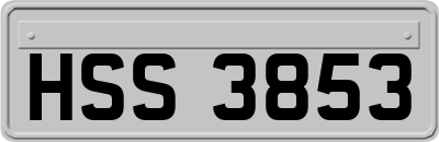 HSS3853