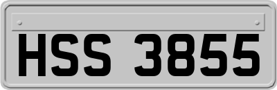 HSS3855