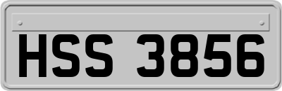 HSS3856
