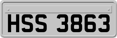 HSS3863
