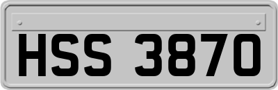 HSS3870