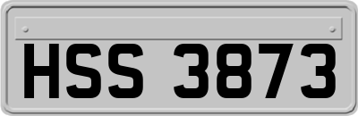 HSS3873