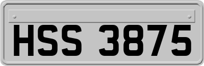 HSS3875