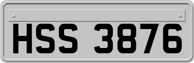 HSS3876