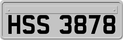 HSS3878