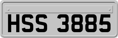 HSS3885