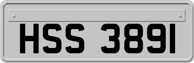 HSS3891