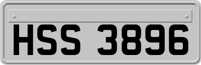 HSS3896