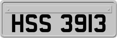 HSS3913