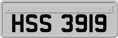 HSS3919