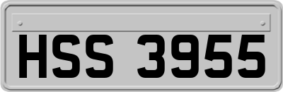 HSS3955