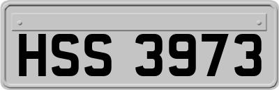 HSS3973
