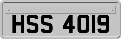 HSS4019