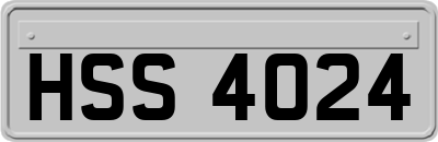 HSS4024