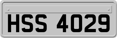 HSS4029
