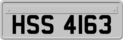 HSS4163