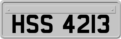HSS4213