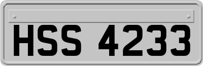 HSS4233