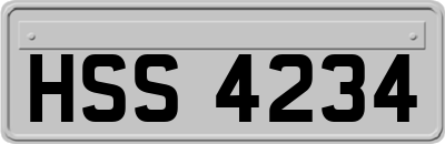 HSS4234