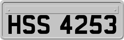 HSS4253