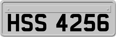 HSS4256