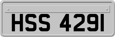 HSS4291